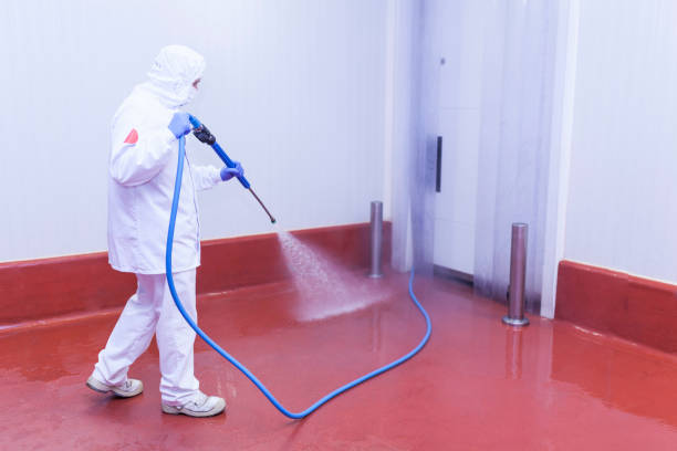 Trusted Rocklin, CA  Pressure Washing Services Experts